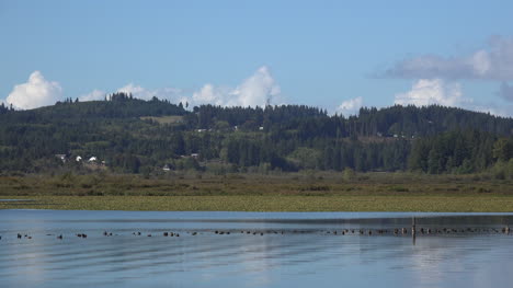 Washington-Silver-Lake-Ondulando-El-Agua-Por-La-Orilla