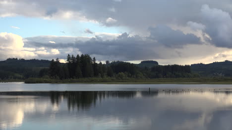 Washington-Silver-Lake-Bäume-Und-Reflexionen