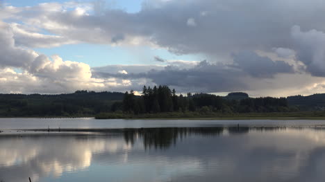 Washington-Silver-Lake-Bäume-Reflektiert