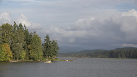 Washington-Silver-Lake-Mit-Vögeln