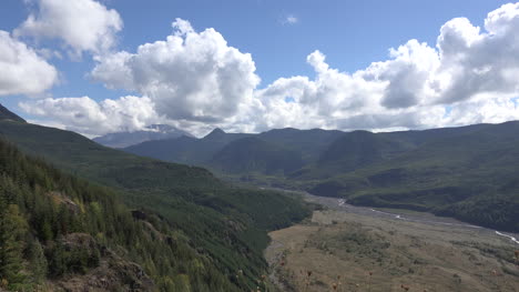 Washington-Schmetterling-Und-Bergblick