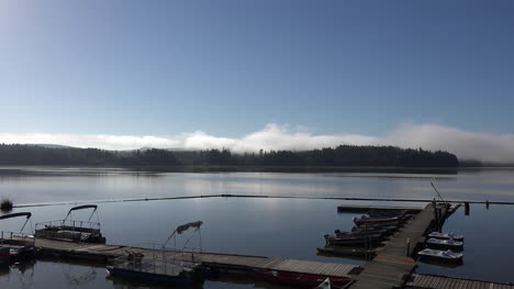 Washington-Zoom-En-Niebla-Creciente