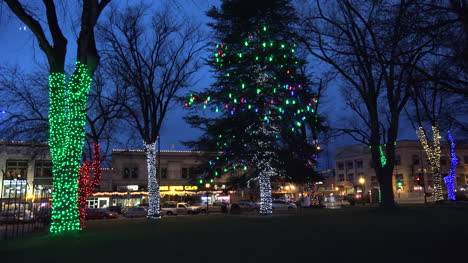 Arizona-Prescott-Trees-With-Bright-Christmas-Lights