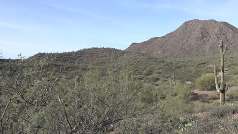 Arizona-Wüstenhügel-Und-Kakteenpfanne-Rechts
