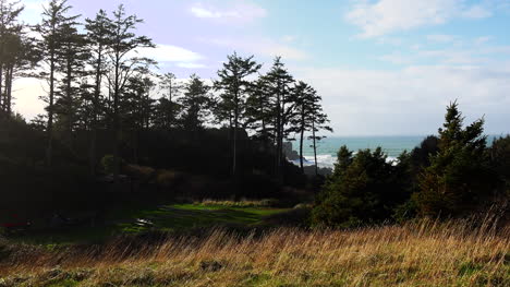Oregon-Ecola-State-Park-Grass-And-Trees-With-Waves