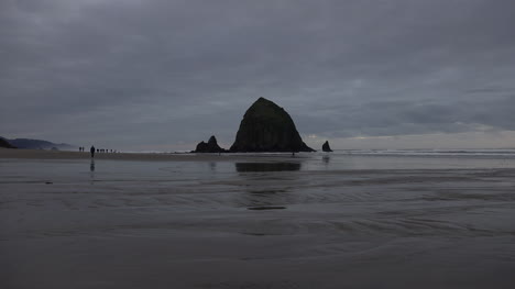 Oregon-Zooms-Across-Stream-On-Haystack-Rock