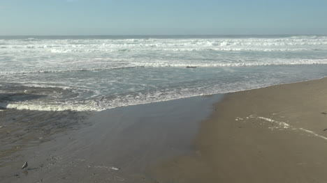 Oregon-Birds-Fly-Over-Waves