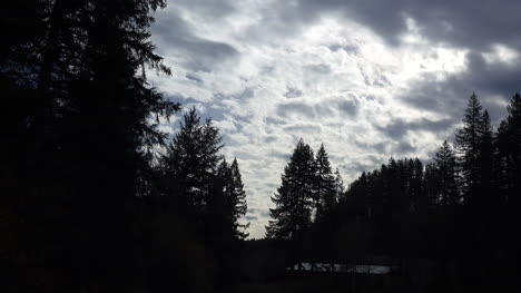 Oregon-Wolken-Und-Tannenbäume-Zeitraffer
