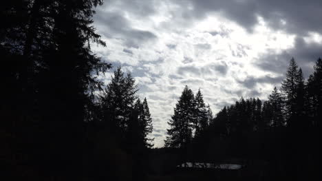 Lapso-De-Tiempo-De-Los-Abetos-Y-Las-Nubes-De-Oregon
