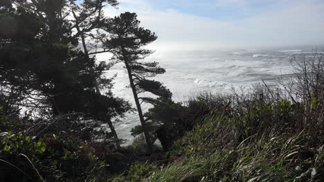 Oregon-Looking-Out-To-Sea-At-Otter-Rock