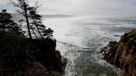 Oregon-Trees-And-Inlet-On-Coast