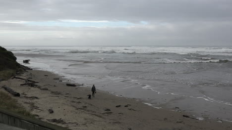 Oregon-Frau-Und-Hund-Am-Strand