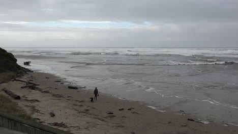 Oregon-Mujer-Y-Perro-En-La-Playa