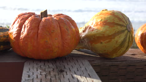 Calabaza-Junto-Al-Mar