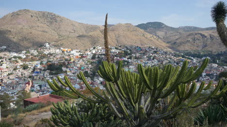 México-Guanajuato-Por-Encima-De-La-Franja-De-Cactus