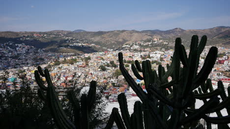 Mexiko-Guanajuato-Kaktus-Umrahmt-Die-Stadt