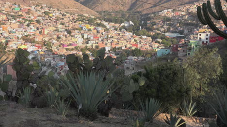 Mexiko-Guanajuato-Vorort-Jenseits-Von-Kaktuspflanzen