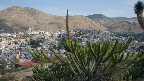 Mexiko-Guanajuato-Mit-Kaktusfransen
