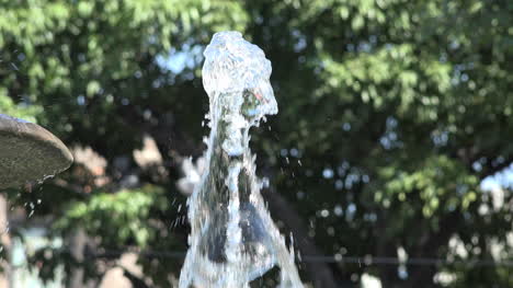 México-Tlaquepaque-Agua-De-Fuente