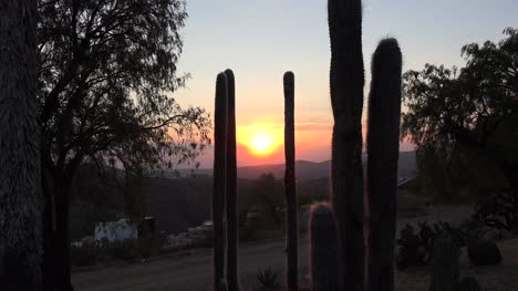 Mexico-Zooms-Toward-Bright-Setting-Sun