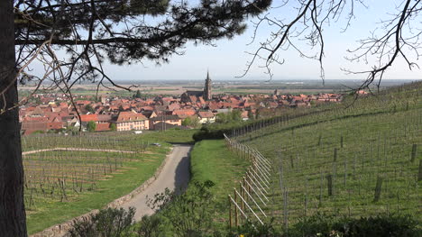 Frankreich-Elsass-Straße-Nach-Dambach-Zoom-In-Zoom