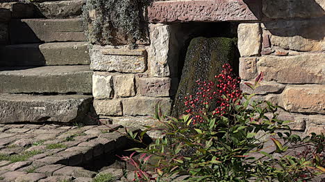 France-Red-Berries-And-Water-On-Stone
