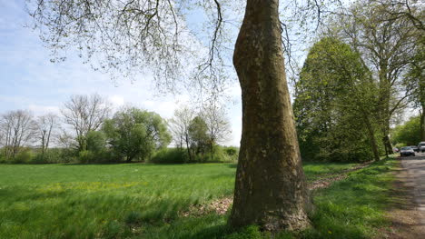 Frankreich-Kippt-Großen-Baum-Hoch