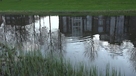 Deutschland-Rees-Reflexionen-Im-Pool