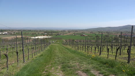 Germany-Rhine-Plain-And-Distant-Hills-Zooms-In