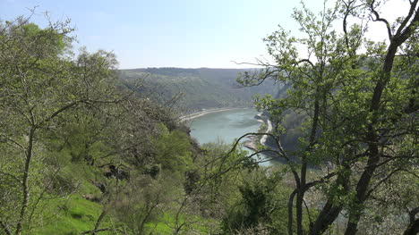 Deutschland-Rhein-Durch-Frühlingszweige