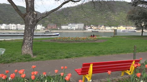 Germany-Bench-And-Tulips-At-St-Goar-On-The-Rhine