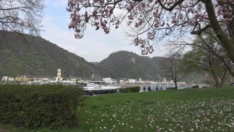 Germany-View-Of-Magnolia-And-St-Goarhausen