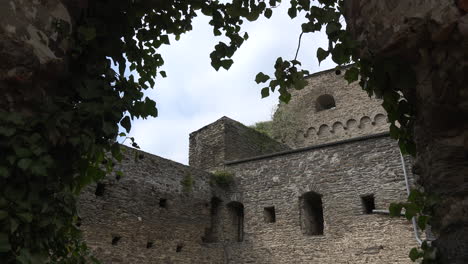 Deutschland-Reben-Rahmen-Burg-Rheinfels