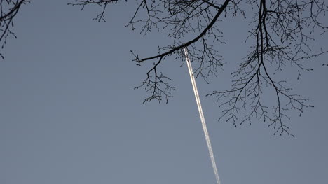 Jet-Contrail-And-Spring-Branches