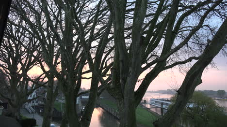 Netherlands-Plane-Trees-Along-A-Rhine-Distributary-At-Dawn