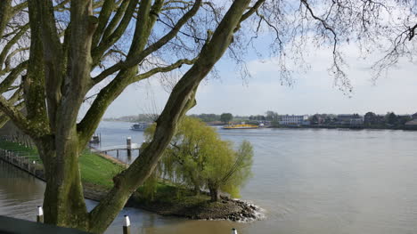 Niederländische-Platanen-Und-Fluss-Lek