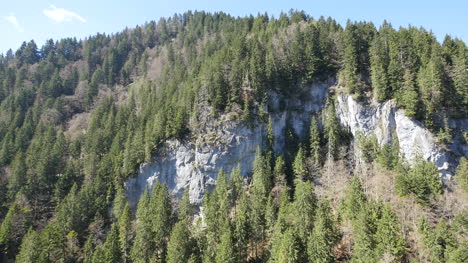 Switzerland-Rocks-And-Forest