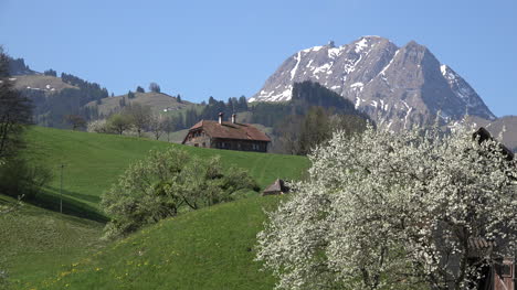 Suiza-Escena-Con-Pico-Ot-De-Broc
