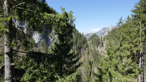 Switzerland-Trees-And-Mountains