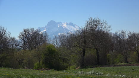 France-Alpine-Peak-Of-Gran-Tete-Beyond-Trees-Zoom-In