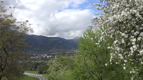 France-Cluses-View-Of-Valley-With-Blooming-Tree