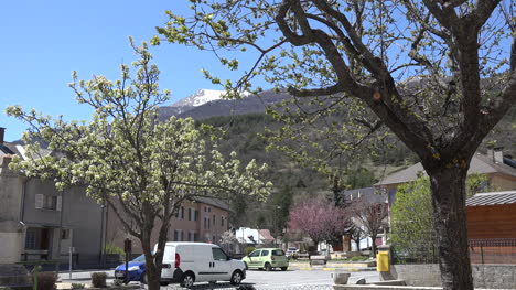 Frankreich-Condamine-chatelard-Stadtblick-Mit-Blühenden-Bäumen