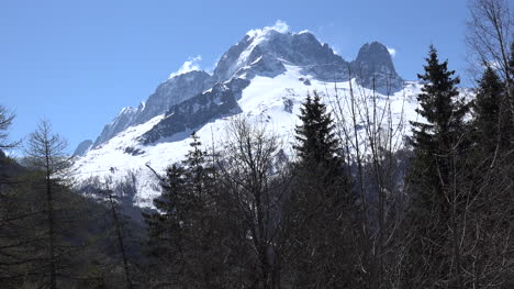 France-Mont-Blanc-View-With-Tree-And-Blue-Sky