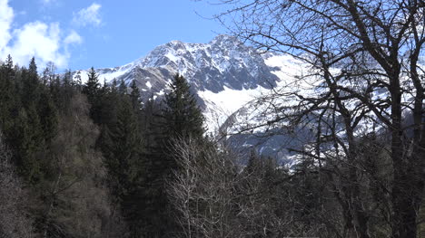 Francia-Mont-Blanc-Vista-Con-Ramas-De-Los-árboles