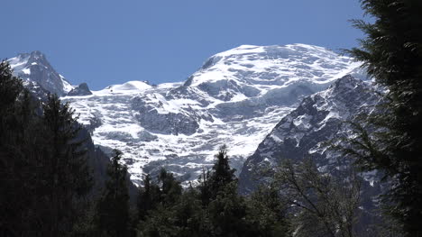 France-Mont-Blanc-With-Glacier-And-Trees