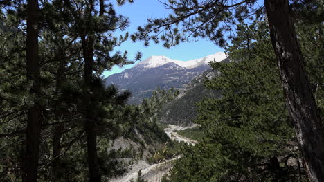 Vista-del-marco-de-France-Pines-en-la-carretera-Larch-Pass-Acercar