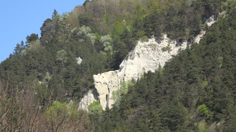 Frankreich-Freiliegender-Felsen-Umgeben-Von-Wald
