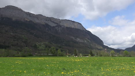 France-Meadow-With-Cows-And-Mountain-Zoom-In