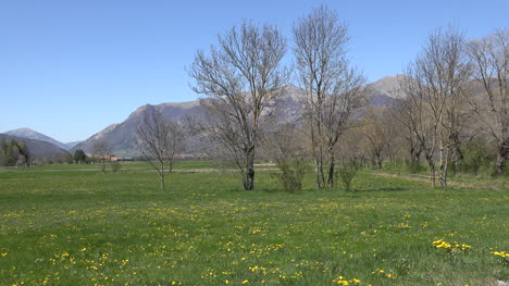France-Meadow-With-Dandelions-And-Mountains