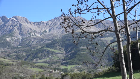Francia-Rama-De-árbol-De-Primavera-Y-Vista-Alpina